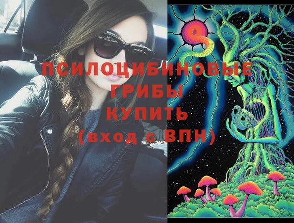 твердый Алзамай