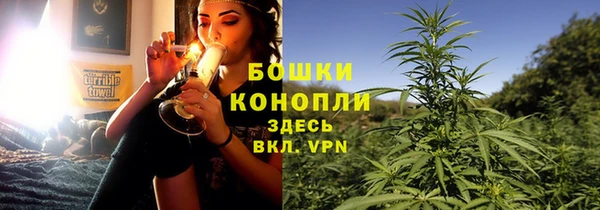 PSILOCYBIN Алексин