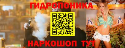 дмт Аргун
