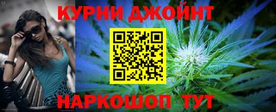 дмт Аргун