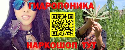 дмт Аргун