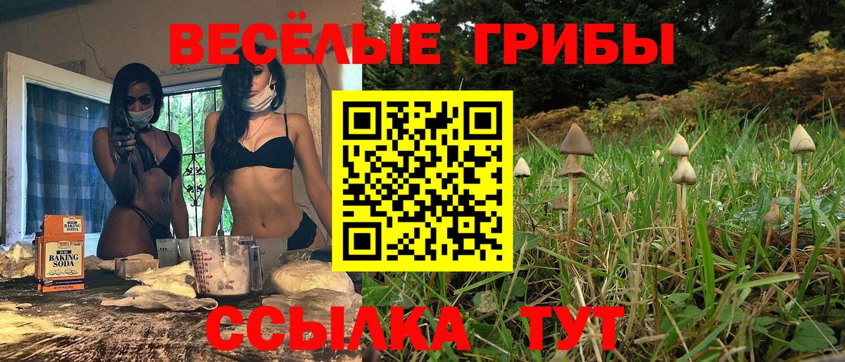 купить наркотики сайты  Псилоцибиновые грибы прущие грибы  Галлюциногенные грибы Cubensis  Вход с VPN  Балабаново 